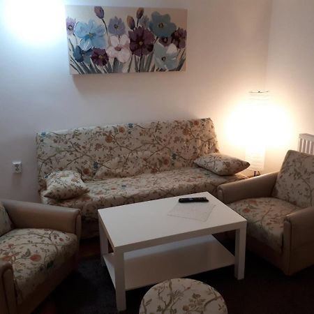 סלאבונסקי ברוד Apartman Ana מראה חיצוני תמונה